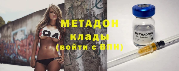 шишки Снежногорск