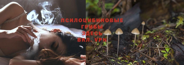 мяу мяу кристалл Алексин