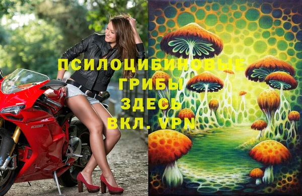 apvp Алзамай
