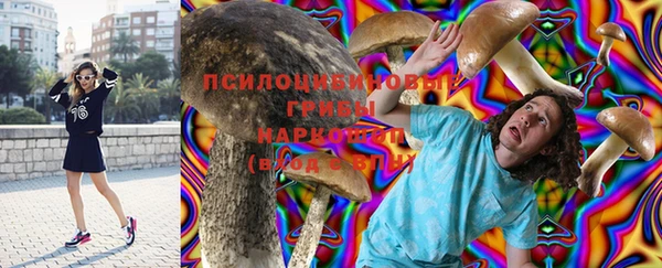 мяу мяу кристалл Алексин