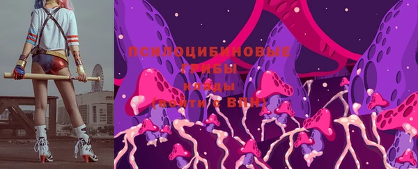 apvp Алзамай