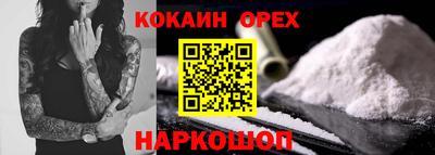 амф Сланцы