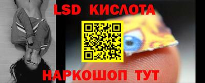 амф Сланцы