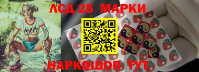 амф Сланцы