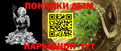 амф Сланцы