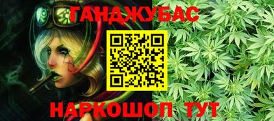 амф Сланцы