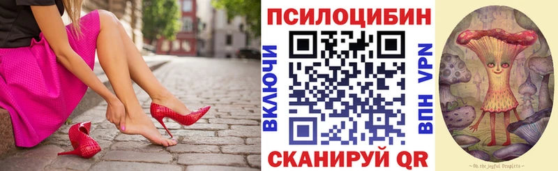 Псилоцибиновые грибы Cubensis  Геленджик 