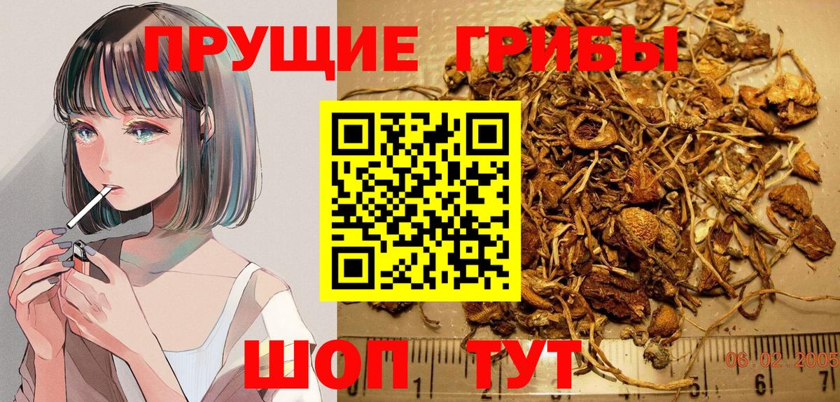 Галлюциногенные грибы мухоморы  Галлюциногенные грибы Psilocybine cubensis  закладки  Вход с VPN  Геленджик 